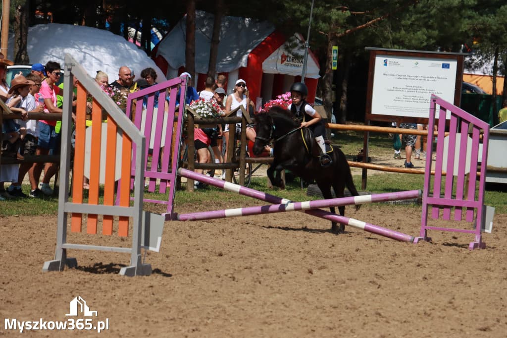 Rywalizacja jeździecka w Gniazdowie